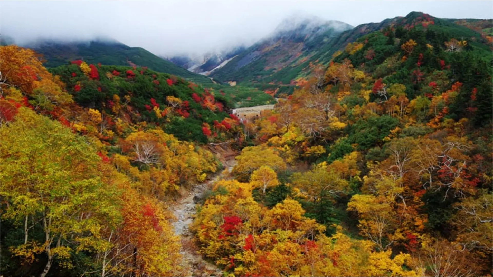 Furano Hops Hotel - Vacation Stay 41818V Kamifurano 0*,  Japan